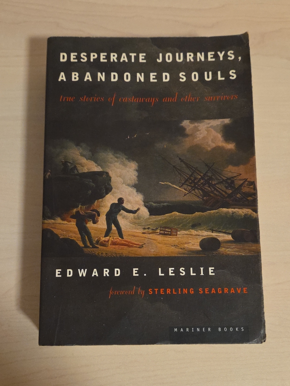 Desperate Journeys, Abandoned Souls by Edward E. Leslie